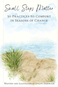 Book Cover: Small Steps Matter